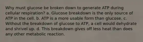 Why must glucose be broken down to generate ATP during cellular respiration? a. Glucose breakdown is the only source of ATP in the cell. b. ATP is a more usable form than glucose. c. Without the breakdown of glucose to ATP, a cell would dehydrate and shrivel up. d. This breakdown gives off less heat than does any other metabolic reaction.