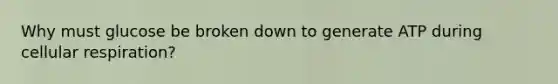 Why must glucose be broken down to generate ATP during cellular respiration?