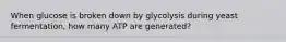 When glucose is broken down by glycolysis during yeast fermentation, how many ATP are generated?