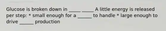 Glucose is broken down in _____ _____ A little energy is released per step: * small enough for a ______ to handle * large enough to drive ______ production