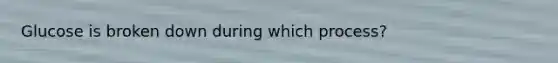 Glucose is broken down during which process?