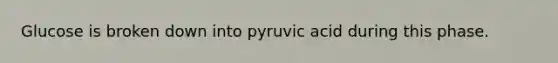 Glucose is broken down into pyruvic acid during this phase.