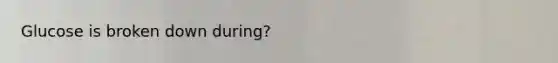 Glucose is broken down during?