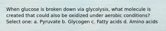 When glucose is broken down via glycolysis, what molecule is created that could also be oxidized under aerobic conditions? Select one: a. Pyruvate b. Glycogen c. Fatty acids d. <a href='https://www.questionai.com/knowledge/k9gb720LCl-amino-acids' class='anchor-knowledge'>amino acids</a>