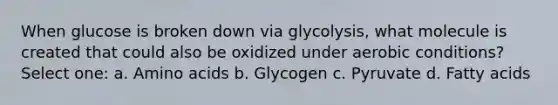 When glucose is broken down via glycolysis, what molecule is created that could also be oxidized under aerobic conditions? Select one: a. Amino acids b. Glycogen c. Pyruvate d. Fatty acids