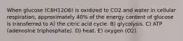 When glucose (C6H12O6) is oxidized to CO2 and water in cellular respiration, approximately 40% of the energy content of glucose is transferred to A) the citric acid cycle. B) glycolysis. C) ATP (adenosine triphosphate). D) heat. E) oxygen (O2).