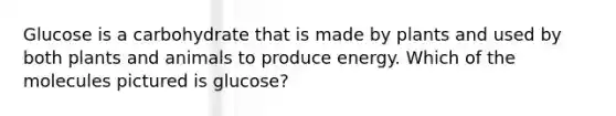 Glucose is a carbohydrate that is made by plants and used by both plants and animals to produce energy. Which of the molecules pictured is glucose?