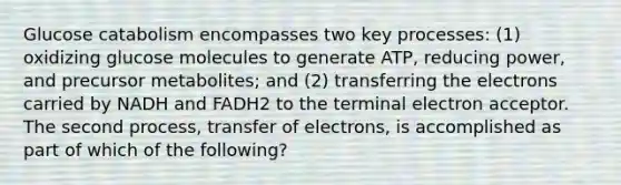 Glucose catabolism encompasses two key processes: (1) oxidizing glucose molecules to generate ATP, reducing power, and precursor metabolites; and (2) transferring the electrons carried by NADH and FADH2 to the terminal electron acceptor. The second process, transfer of electrons, is accomplished as part of which of the following?