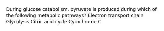 During glucose catabolism, pyruvate is produced during which of the following metabolic pathways? Electron transport chain Glycolysis Citric acid cycle Cytochrome C