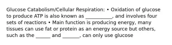 Glucose Catabolism/Cellular Respiration: • Oxidation of glucose to produce ATP is also known as ___________, and involves four sets of reactions • Main function is producing energy, many tissues can use fat or protein as an energy source but others, such as the ______ and _______, can only use glucose