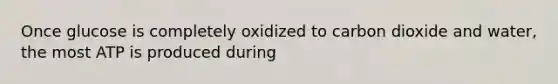 Once glucose is completely oxidized to carbon dioxide and water, the most ATP is produced during