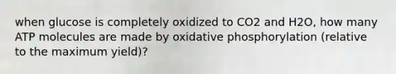 when glucose is completely oxidized to CO2 and H2O, how many ATP molecules are made by <a href='https://www.questionai.com/knowledge/kFazUb9IwO-oxidative-phosphorylation' class='anchor-knowledge'>oxidative phosphorylation</a> (relative to the maximum yield)?