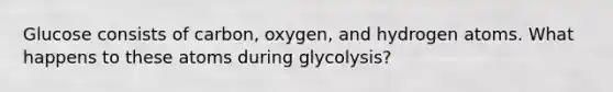 Glucose consists of carbon, oxygen, and hydrogen atoms. What happens to these atoms during glycolysis?