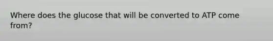 Where does the glucose that will be converted to ATP come from?
