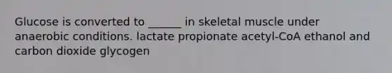 Glucose is converted to ______ in skeletal muscle under anaerobic conditions. lactate propionate acetyl-CoA ethanol and carbon dioxide glycogen