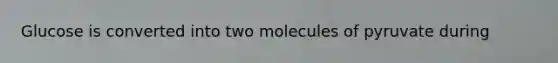 Glucose is converted into two molecules of pyruvate during