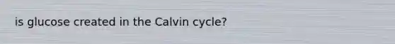 is glucose created in the Calvin cycle?