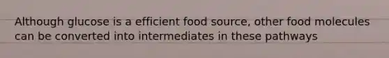 Although glucose is a efficient food source, other food molecules can be converted into intermediates in these pathways