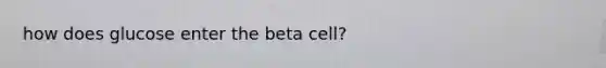 how does glucose enter the beta cell?