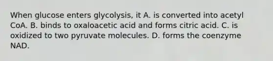 When glucose enters glycolysis, it A. is converted into acetyl CoA. B. binds to oxaloacetic acid and forms citric acid. C. is oxidized to two pyruvate molecules. D. forms the coenzyme NAD.