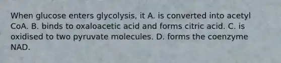 When glucose enters glycolysis, it A. is converted into acetyl CoA. B. binds to oxaloacetic acid and forms citric acid. C. is oxidised to two pyruvate molecules. D. forms the coenzyme NAD.