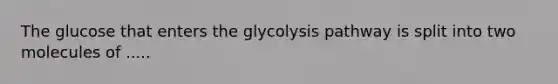 The glucose that enters the glycolysis pathway is split into two molecules of .....