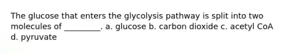 The glucose that enters the glycolysis pathway is split into two molecules of _________. a. glucose b. carbon dioxide c. acetyl CoA d. pyruvate