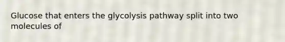 Glucose that enters the glycolysis pathway split into two molecules of