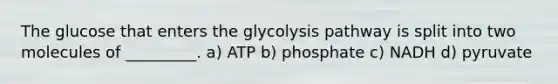 The glucose that enters the glycolysis pathway is split into two molecules of _________. a) ATP b) phosphate c) NADH d) pyruvate