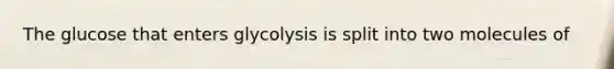 The glucose that enters glycolysis is split into two molecules of