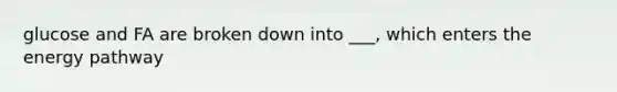 glucose and FA are broken down into ___, which enters the energy pathway