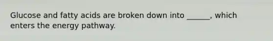 Glucose and fatty acids are broken down into ______, which enters the energy pathway.