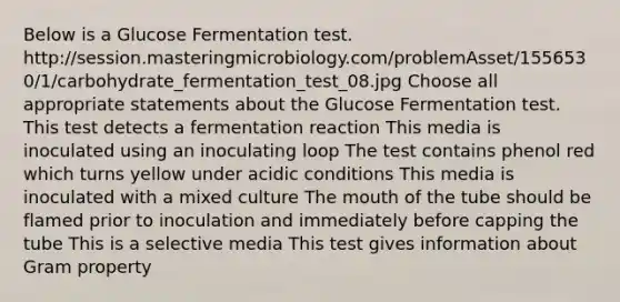 Below is a Glucose Fermentation test. http://session.masteringmicrobiology.com/problemAsset/1556530/1/carbohydrate_fermentation_test_08.jpg Choose all appropriate statements about the Glucose Fermentation test. This test detects a fermentation reaction This media is inoculated using an inoculating loop The test contains phenol red which turns yellow under acidic conditions This media is inoculated with a mixed culture <a href='https://www.questionai.com/knowledge/krBoWYDU6j-the-mouth' class='anchor-knowledge'>the mouth</a> of the tube should be flamed prior to inoculation and immediately before capping the tube This is a selective media This test gives information about Gram property