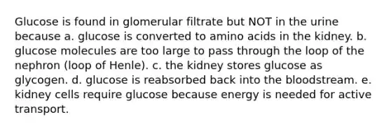 Glucose is found in glomerular filtrate but NOT in the urine because a. glucose is converted to <a href='https://www.questionai.com/knowledge/k9gb720LCl-amino-acids' class='anchor-knowledge'>amino acids</a> in the kidney. b. glucose molecules are too large to pass through the loop of the nephron (loop of Henle). c. the kidney stores glucose as glycogen. d. glucose is reabsorbed back into <a href='https://www.questionai.com/knowledge/k7oXMfj7lk-the-blood' class='anchor-knowledge'>the blood</a>stream. e. kidney cells require glucose because energy is needed for active transport.