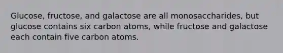 Glucose, fructose, and galactose are all monosaccharides, but glucose contains six carbon atoms, while fructose and galactose each contain five carbon atoms.