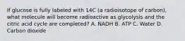 If glucose is fully labeled with 14C (a radioisotope of carbon), what molecule will become radioactive as glycolysis and the citric acid cycle are completed? A. NADH B. ATP C. Water D. Carbon dioxide