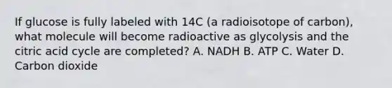 If glucose is fully labeled with 14C (a radioisotope of carbon), what molecule will become radioactive as glycolysis and the citric acid cycle are completed? A. NADH B. ATP C. Water D. Carbon dioxide