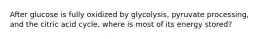 After glucose is fully oxidized by glycolysis, pyruvate processing, and the citric acid cycle, where is most of its energy stored?