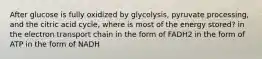 After glucose is fully oxidized by glycolysis, pyruvate processing, and the citric acid cycle, where is most of the energy stored? in the electron transport chain in the form of FADH2 in the form of ATP in the form of NADH