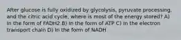 After glucose is fully oxidized by glycolysis, pyruvate processing, and the citric acid cycle, where is most of the energy stored? A) In the form of FADH2 B) In the form of ATP C) In the electron transport chain D) In the form of NADH