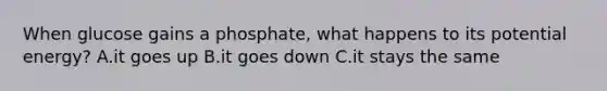When glucose gains a phosphate, what happens to its potential energy? A.it goes up B.it goes down C.it stays the same