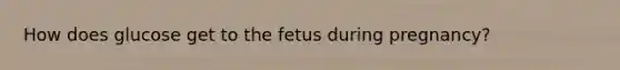 How does glucose get to the fetus during pregnancy?