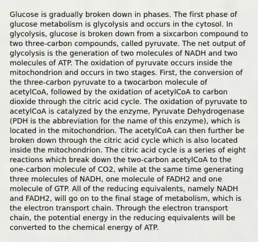 Glucose is gradually broken down in phases. The first phase of glucose metabolism is glycolysis and occurs in the cytosol. In glycolysis, glucose is broken down from a sixcarbon compound to two three-carbon compounds, called pyruvate. The net output of glycolysis is the generation of two molecules of NADH and two molecules of ATP. The oxidation of pyruvate occurs inside the mitochondrion and occurs in two stages. First, the conversion of the three-carbon pyruvate to a twocarbon molecule of acetylCoA, followed by the oxidation of acetylCoA to carbon dioxide through the citric acid cycle. The oxidation of pyruvate to acetylCoA is catalyzed by the enzyme, Pyruvate Dehydrogenase (PDH is the abbreviation for the name of this enzyme), which is located in the mitochondrion. The acetylCoA can then further be broken down through the citric acid cycle which is also located inside the mitochondrion. The citric acid cycle is a series of eight reactions which break down the two-carbon acetylCoA to the one-carbon molecule of CO2, while at the same time generating three molecules of NADH, one molecule of FADH2 and one molecule of GTP. All of the reducing equivalents, namely NADH and FADH2, will go on to the final stage of metabolism, which is the electron transport chain. Through the electron transport chain, the potential energy in the reducing equivalents will be converted to the chemical energy of ATP.