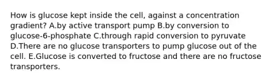 How is glucose kept inside the cell, against a concentration gradient? A.by active transport pump B.by conversion to glucose-6-phosphate C.through rapid conversion to pyruvate D.There are no glucose transporters to pump glucose out of the cell. E.Glucose is converted to fructose and there are no fructose transporters.