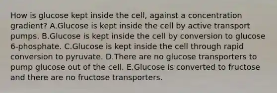 How is glucose kept inside the cell, against a concentration gradient? A.Glucose is kept inside the cell by active transport pumps. B.Glucose is kept inside the cell by conversion to glucose 6-phosphate. C.Glucose is kept inside the cell through rapid conversion to pyruvate. D.There are no glucose transporters to pump glucose out of the cell. E.Glucose is converted to fructose and there are no fructose transporters.