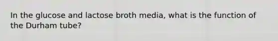 In the glucose and lactose broth media, what is the function of the Durham tube?