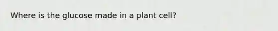 Where is the glucose made in a plant cell?