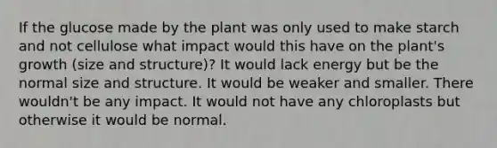 If the glucose made by the plant was only used to make starch and not cellulose what impact would this have on the plant's growth (size and structure)? It would lack energy but be the normal size and structure. It would be weaker and smaller. There wouldn't be any impact. It would not have any chloroplasts but otherwise it would be normal.