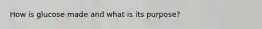How is glucose made and what is its purpose?