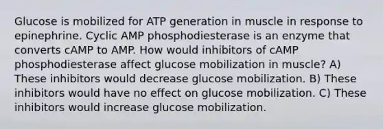 Glucose is mobilized for ATP generation in muscle in response to epinephrine. Cyclic AMP phosphodiesterase is an enzyme that converts cAMP to AMP. How would inhibitors of cAMP phosphodiesterase affect glucose mobilization in muscle? A) These inhibitors would decrease glucose mobilization. B) These inhibitors would have no effect on glucose mobilization. C) These inhibitors would increase glucose mobilization.